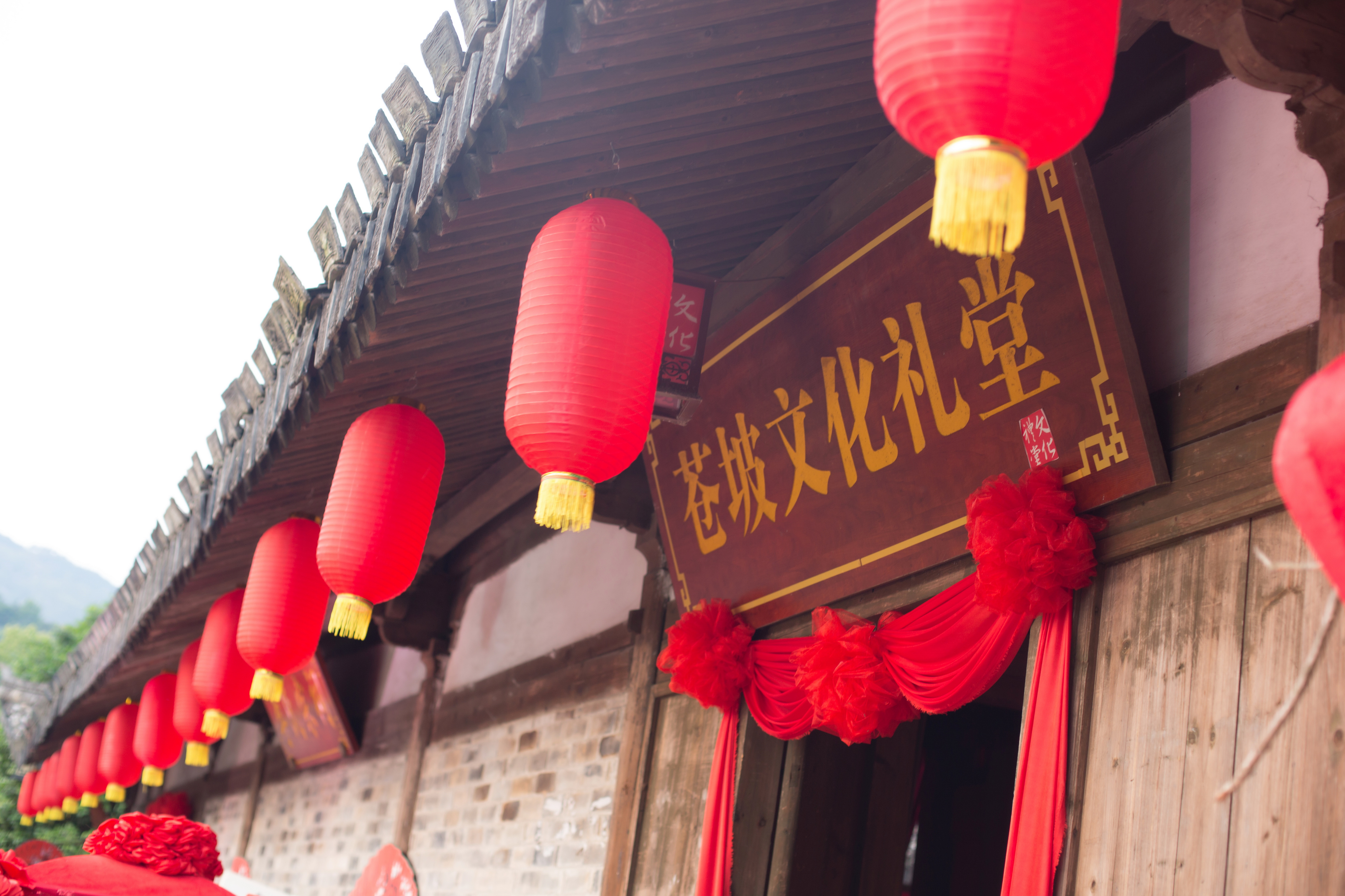 蒼坡文化禮堂-婚禮 (2).jpg