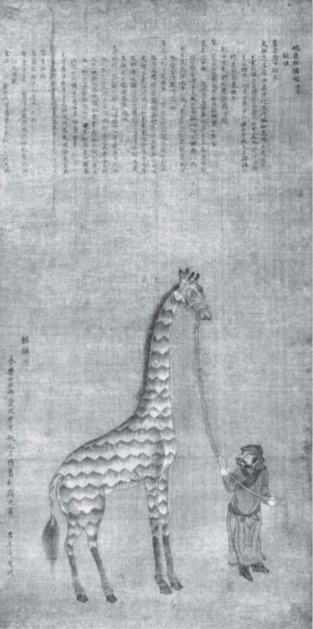 M000CDACggSDVh9kGiASnurAAD2zCQ148o684.jpg
