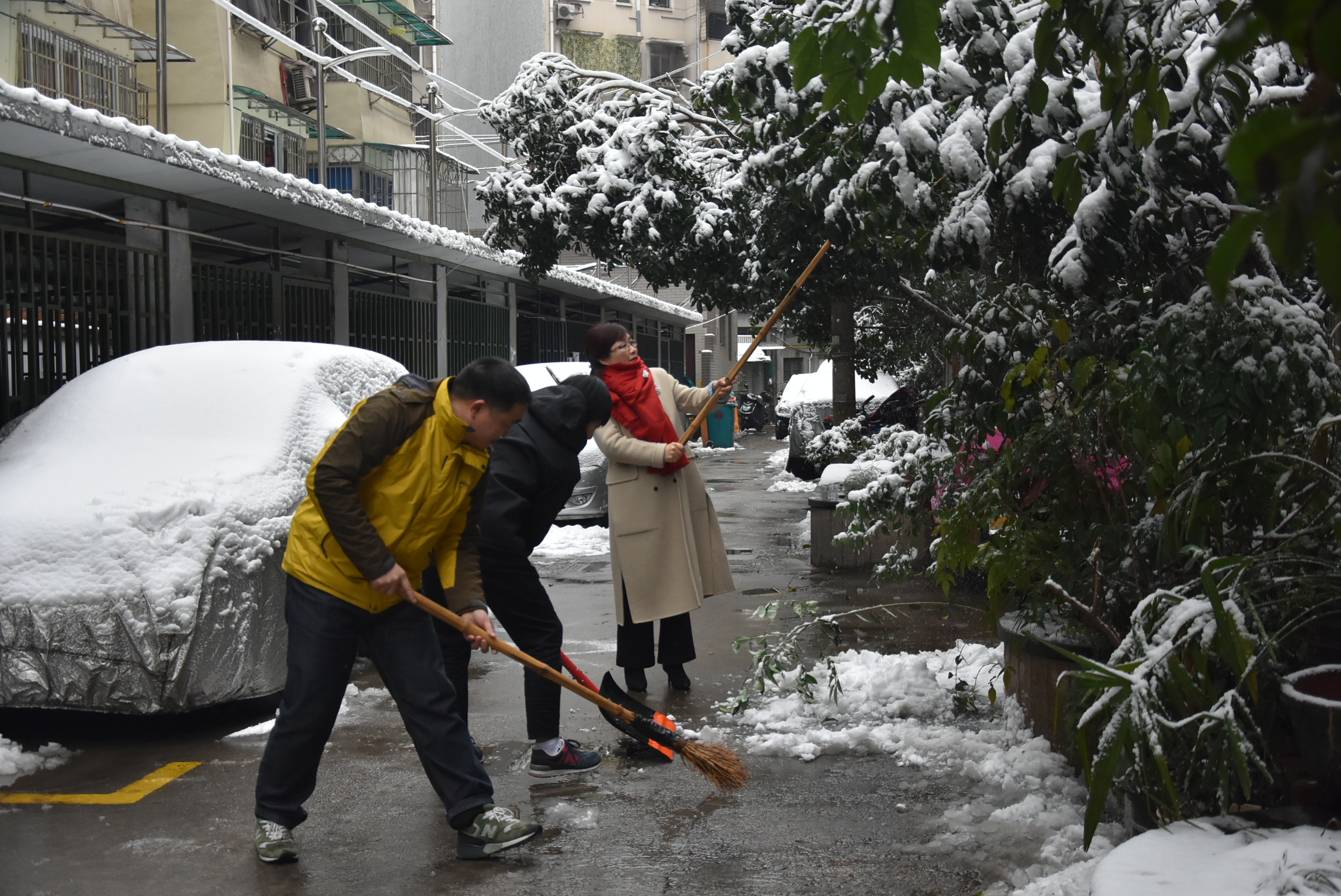 機(jī)關(guān)一支部黨員掃雪清道.jpg