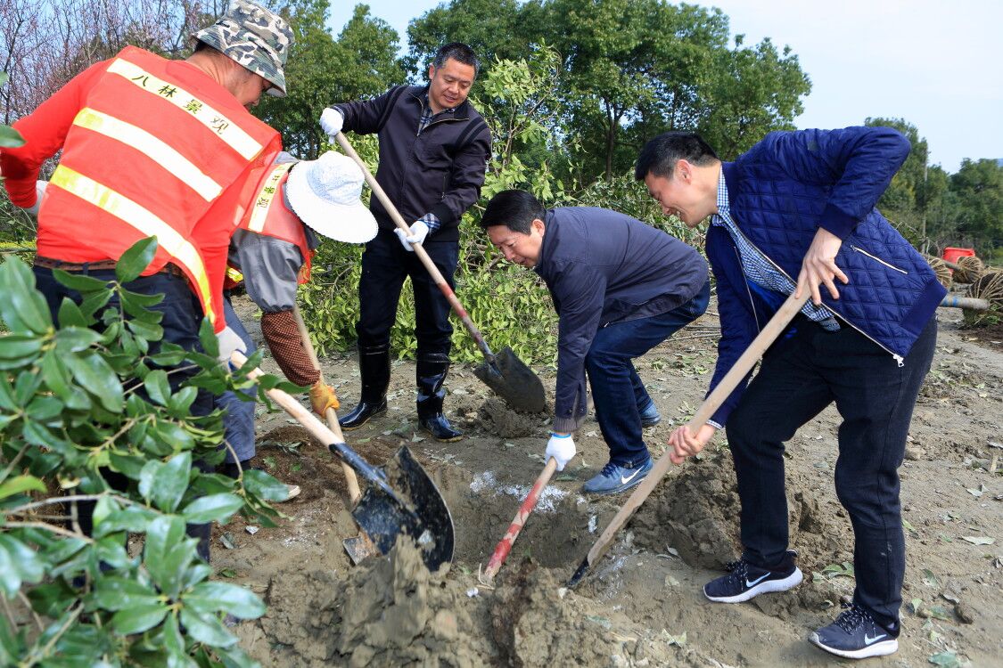 機(jī)關(guān)綜合支部黨員參與植樹.jpg