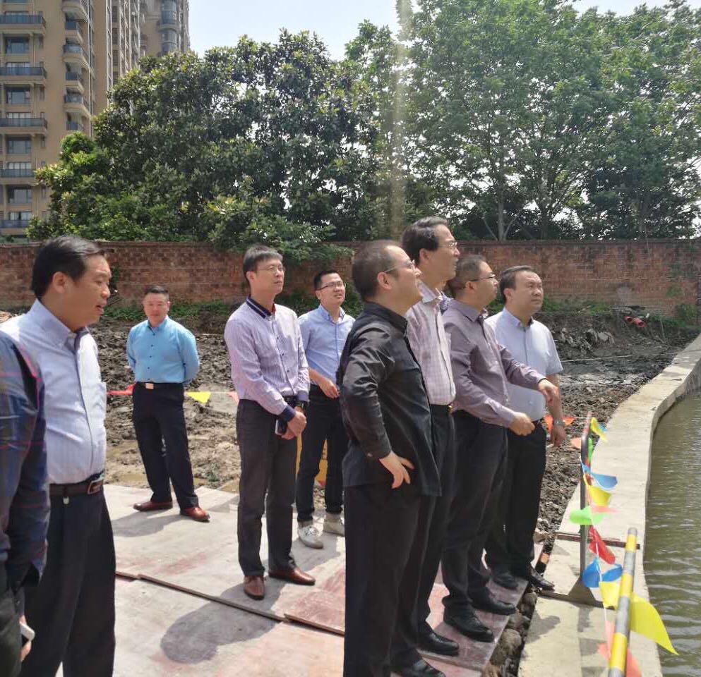 區(qū)領導調(diào)研黨建項目現(xiàn)場.jpg
