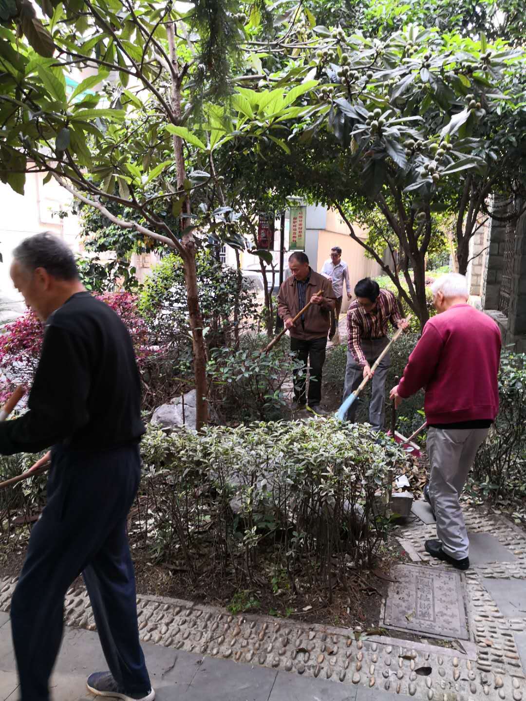 環(huán)北新村第三樓道黨支部節(jié)前大清掃.jpg