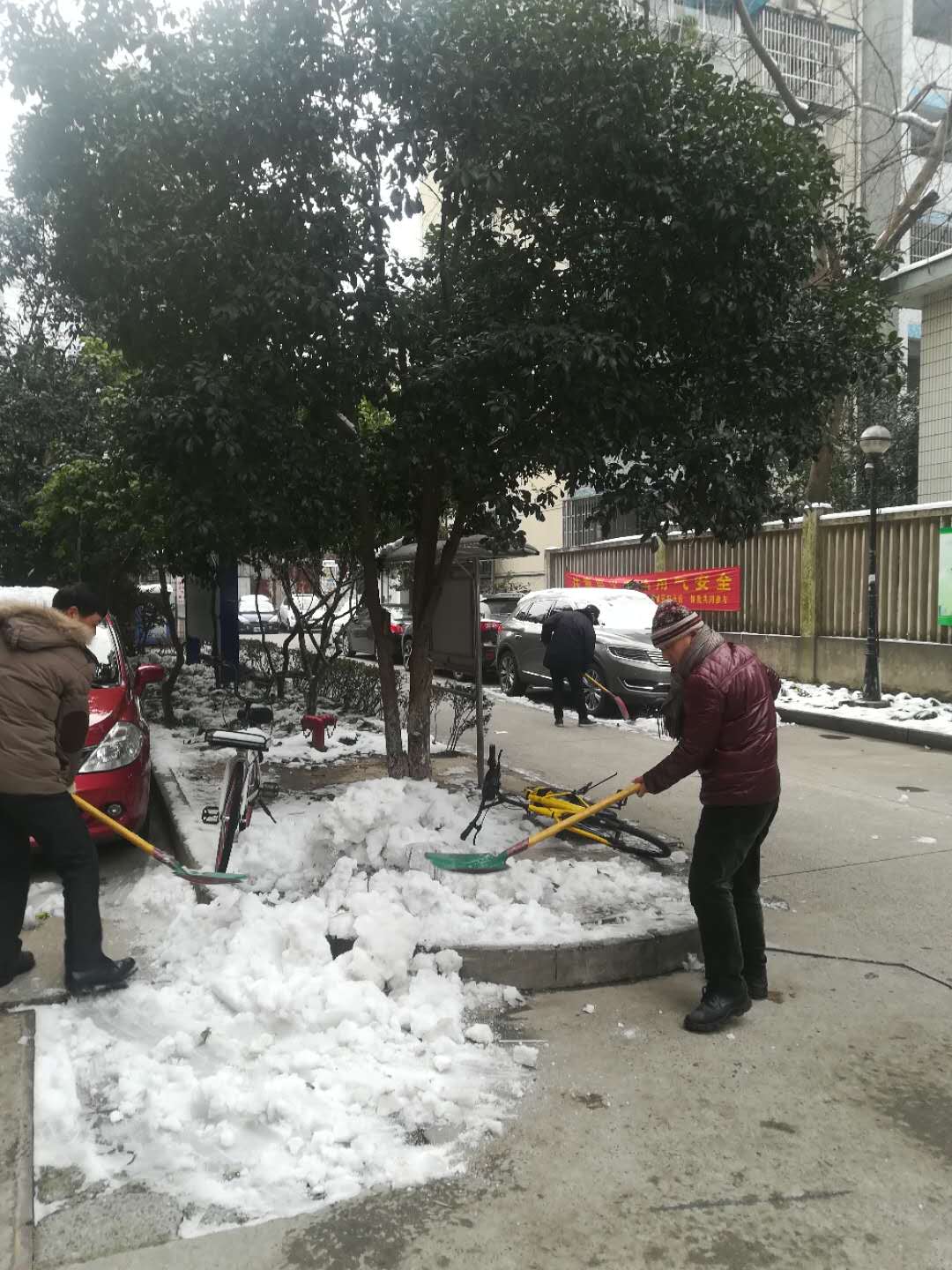 黨員參加掃雪行動(dòng).png