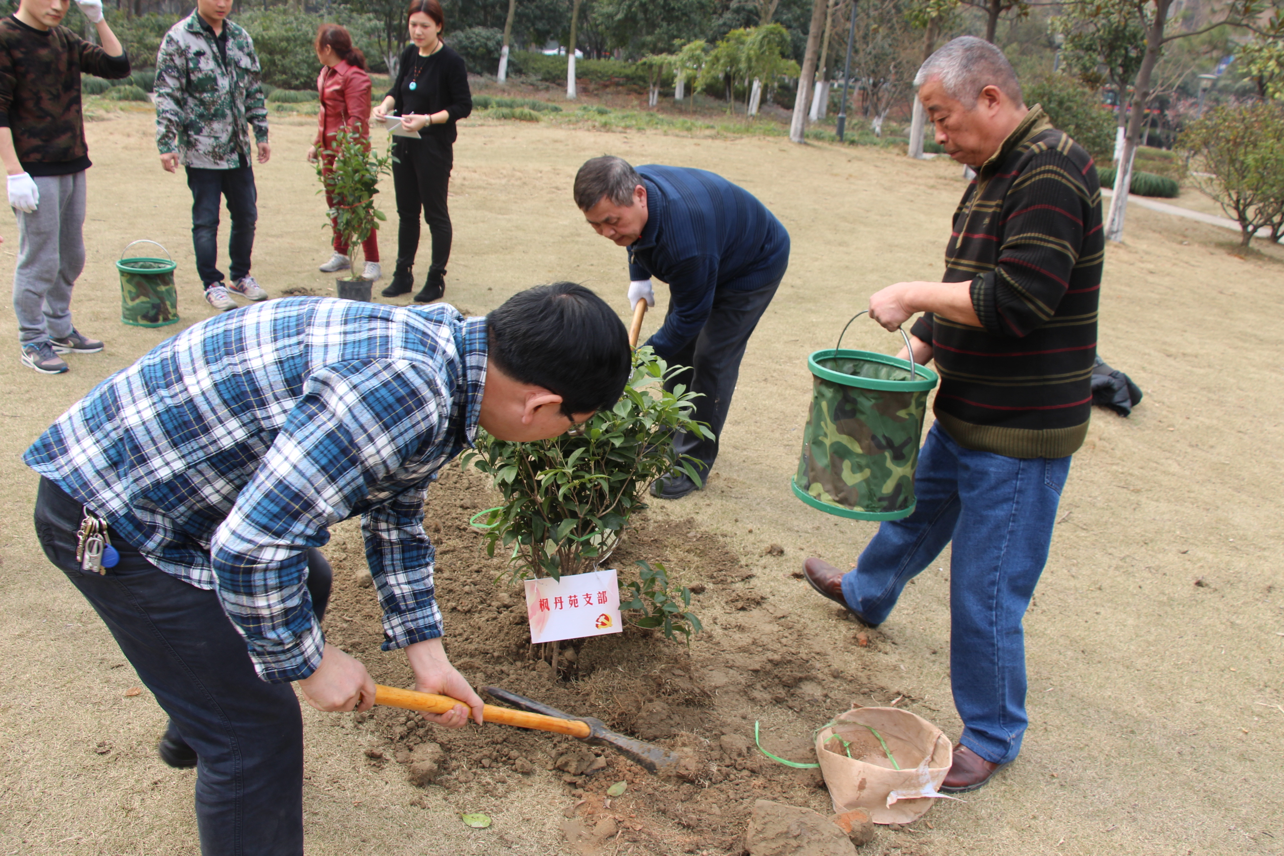 楓丹苑支部植樹節(jié)在濱河公園種下支部樹.JPG