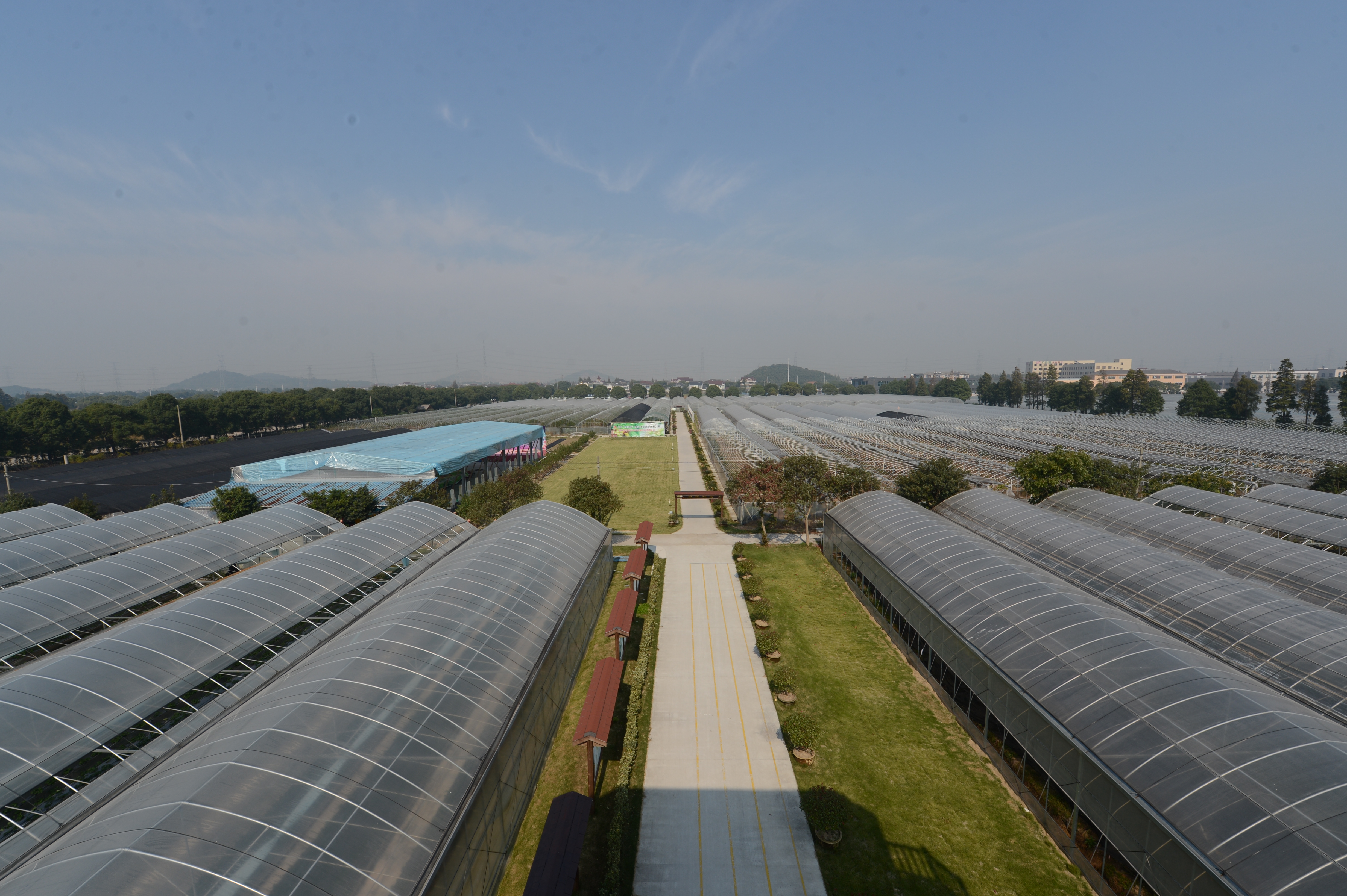 萬(wàn)福根的蘆薈種植園已經(jīng)成為旅游觀光生態(tài)園…….JPG