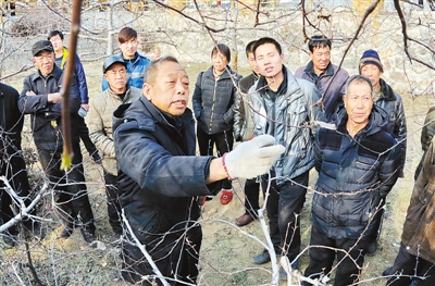 　李保國(guó)（前左）在河北省內(nèi)丘縣崗底村向村民講解果樹(shù)修剪知識(shí)（1月27日攝）。.jpg