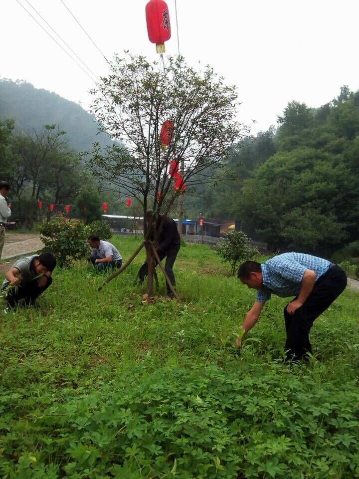 QQ圖片20150901105010.JPG