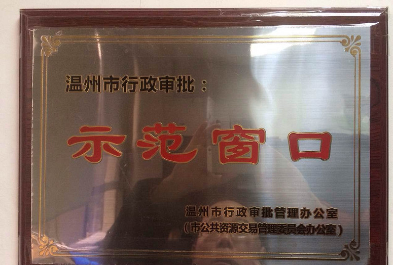 最美民政窗口8 溫州市民政局行政審批窗口
