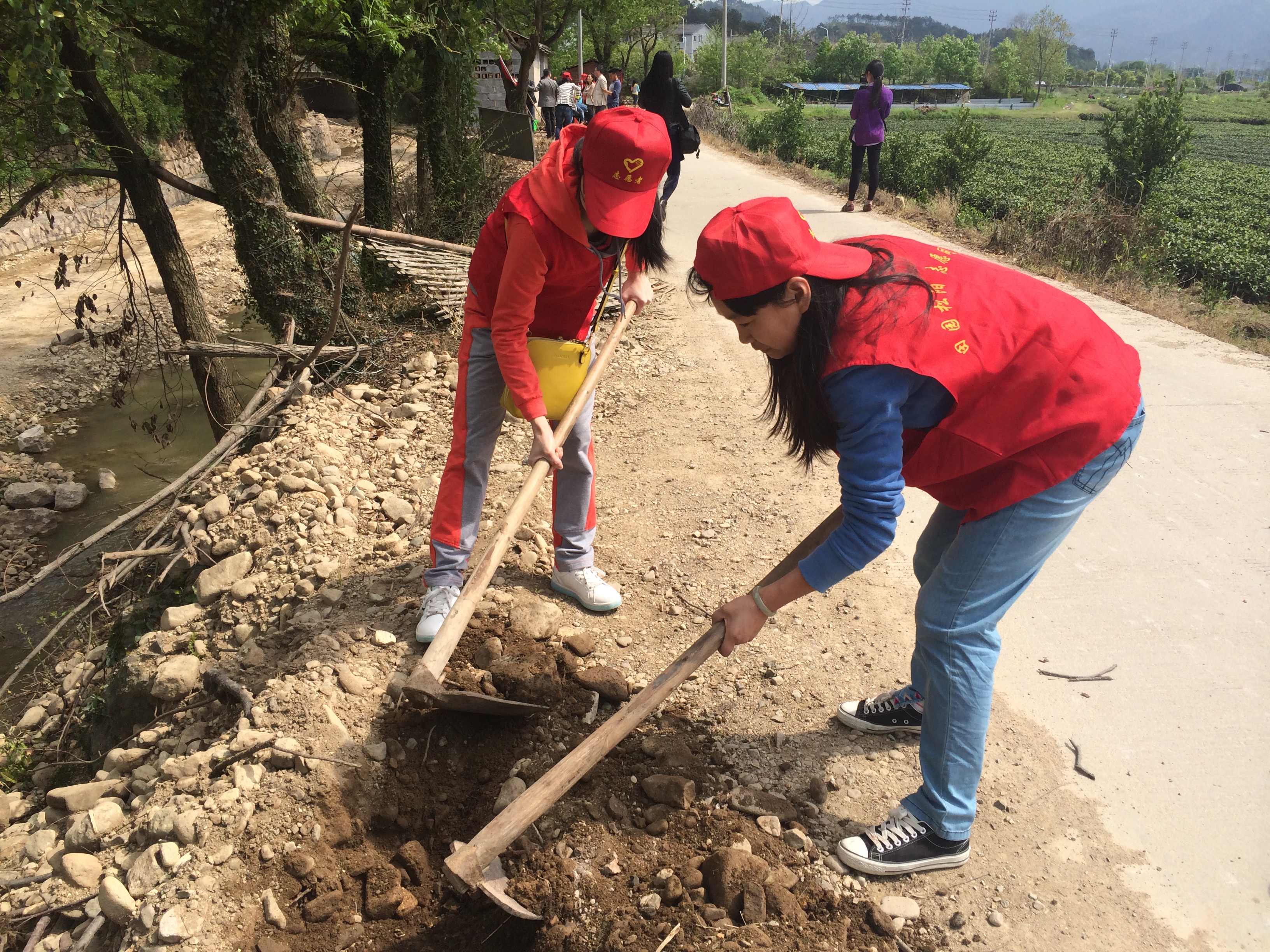吳莉梅-志愿服務(wù)活動(dòng)植樹(shù).jpg.png