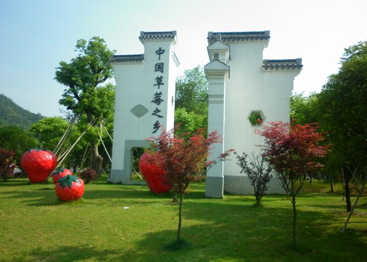 草莓之鄉(xiāng).jpg