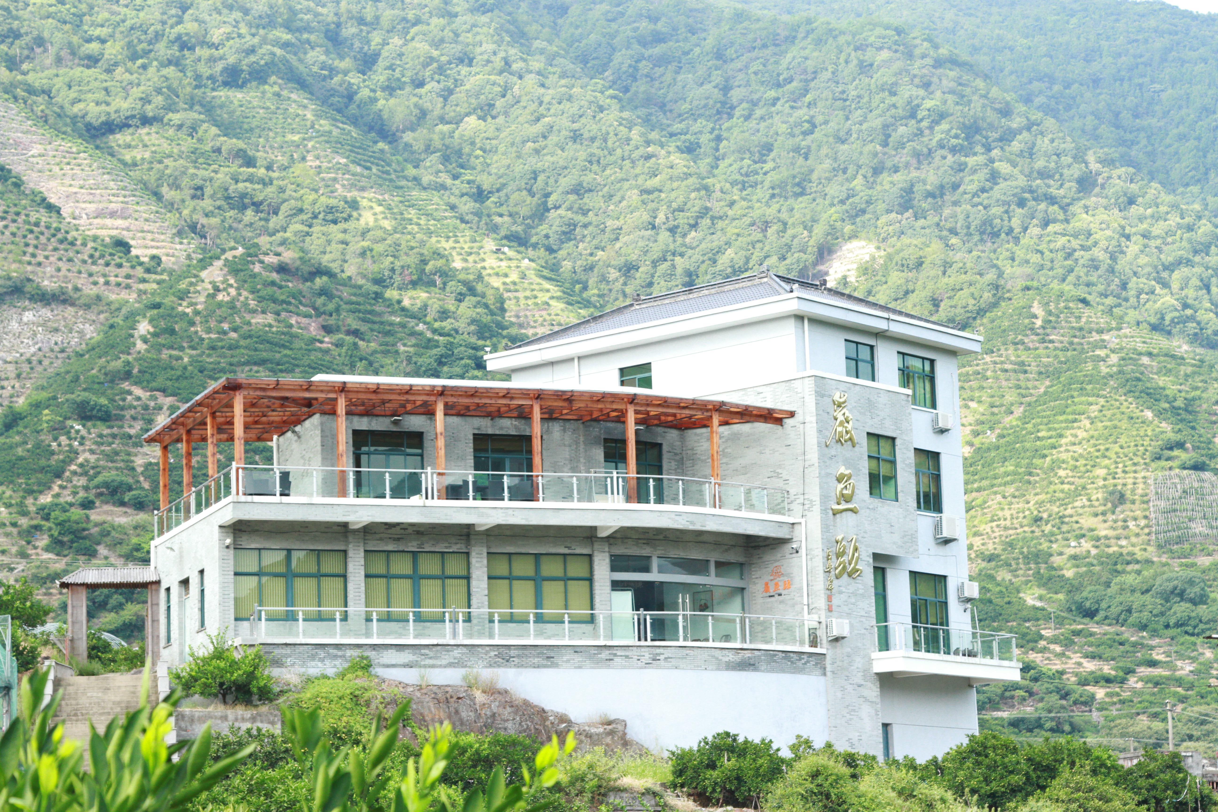 巖魚(yú)頭照片.JPG