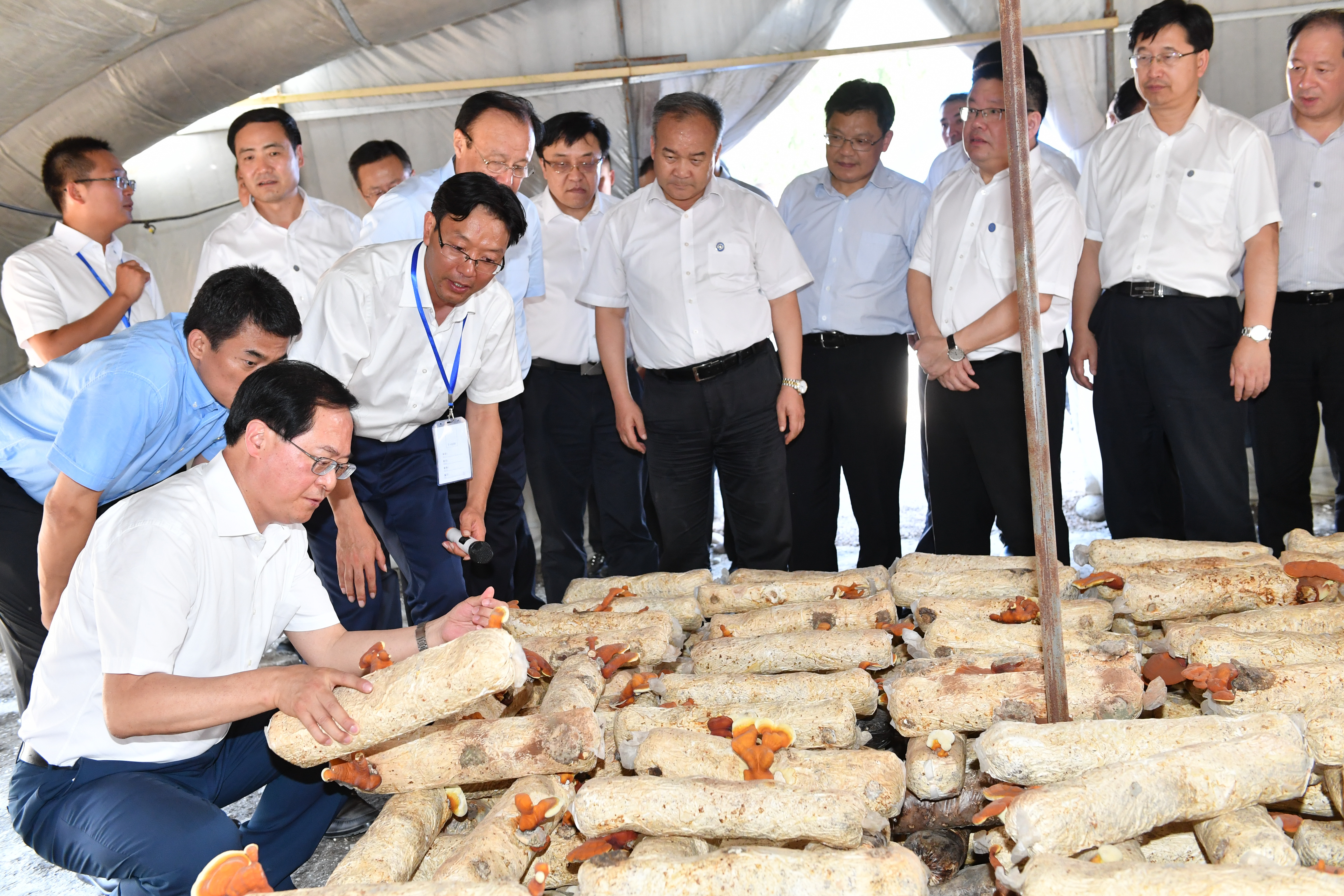 8月6日浙江省委書記車俊考察食用菌基地.jpg