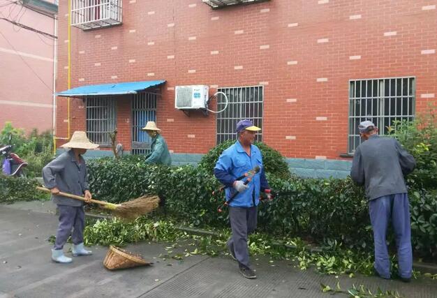 QQ截圖20181130173621.jpg