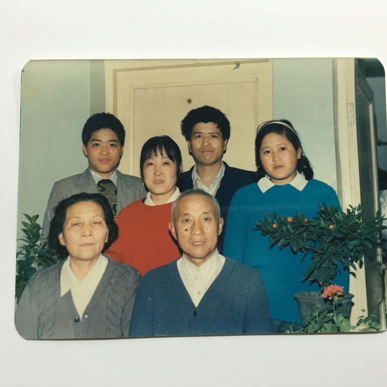 沈靈.jpg