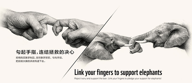 QQ圖片20160713142611.png
