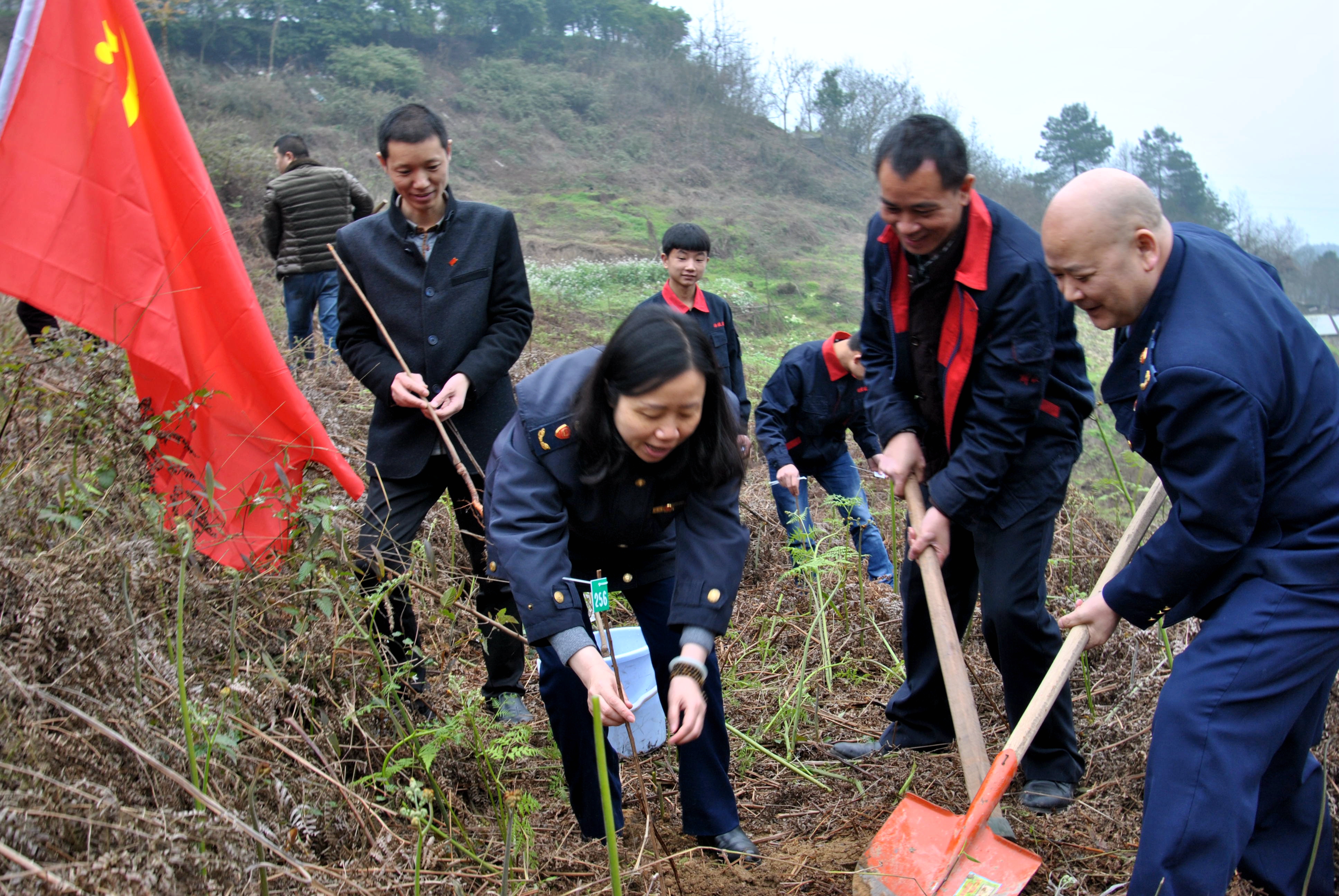 民協(xié)黨總支人員一起栽金果林.JPG