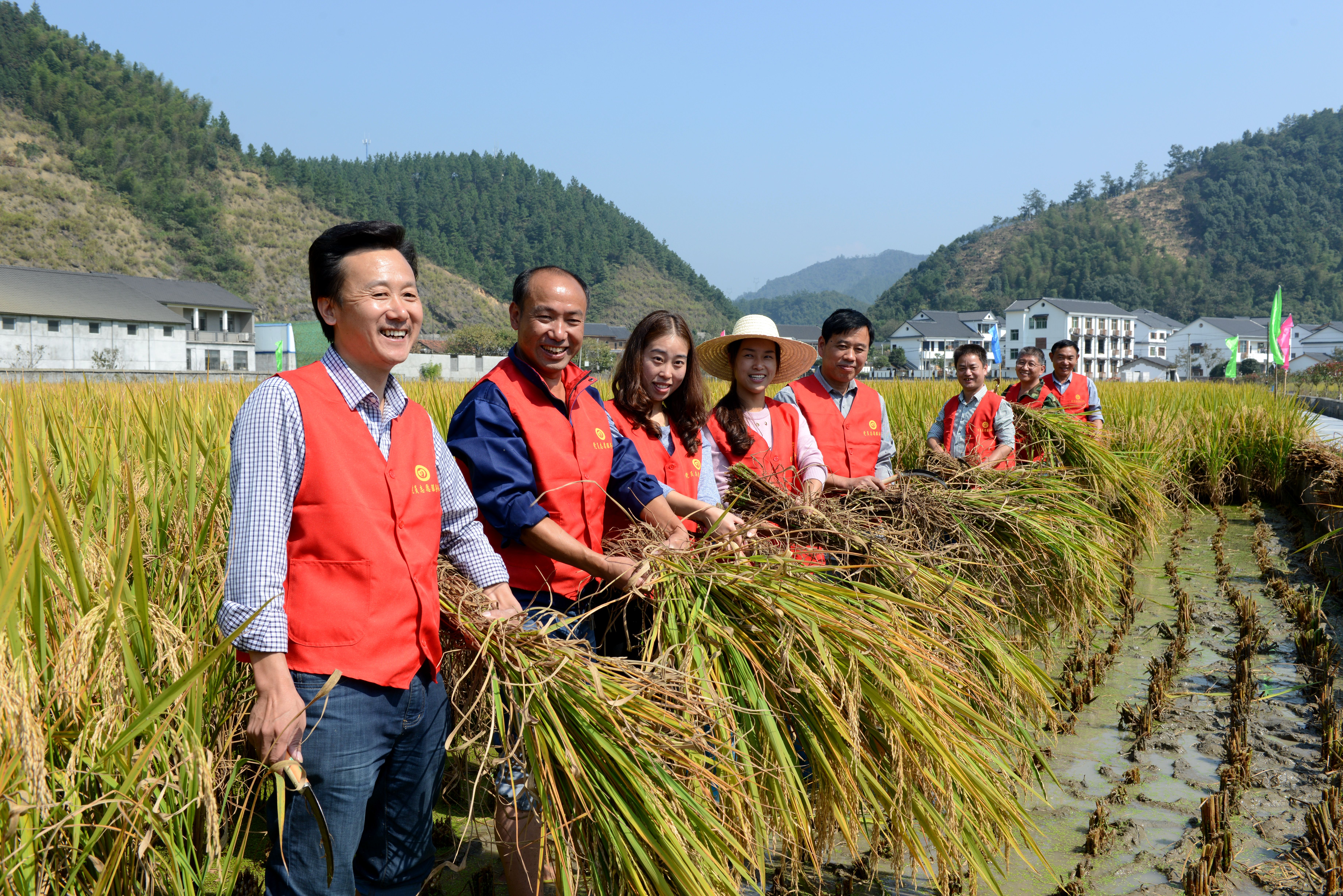 大路村黨員帶頭服務(wù)村級(jí)產(chǎn)業(yè)項(xiàng)目（糧油基地）.jpg