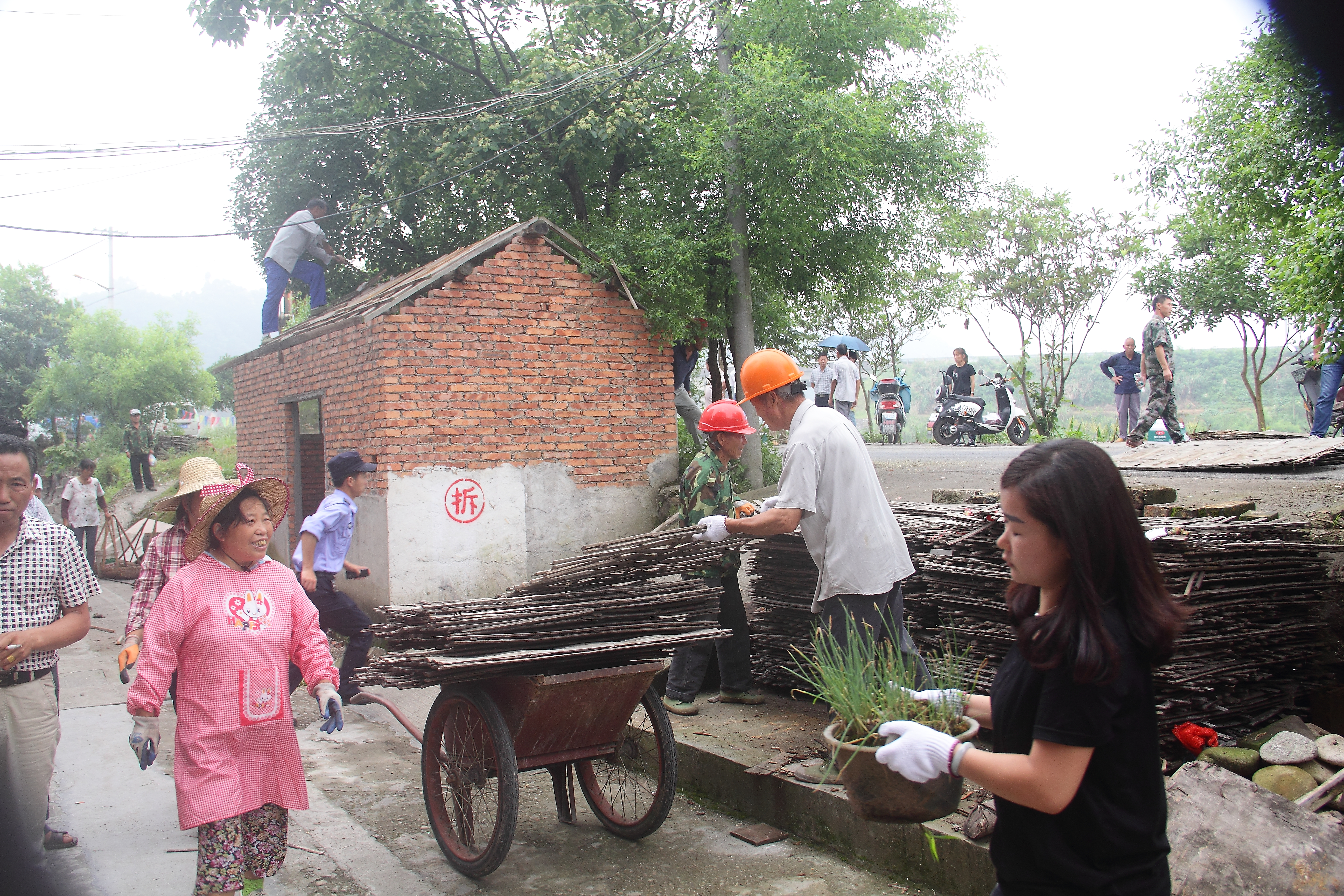 4DPP_0638.JPG
