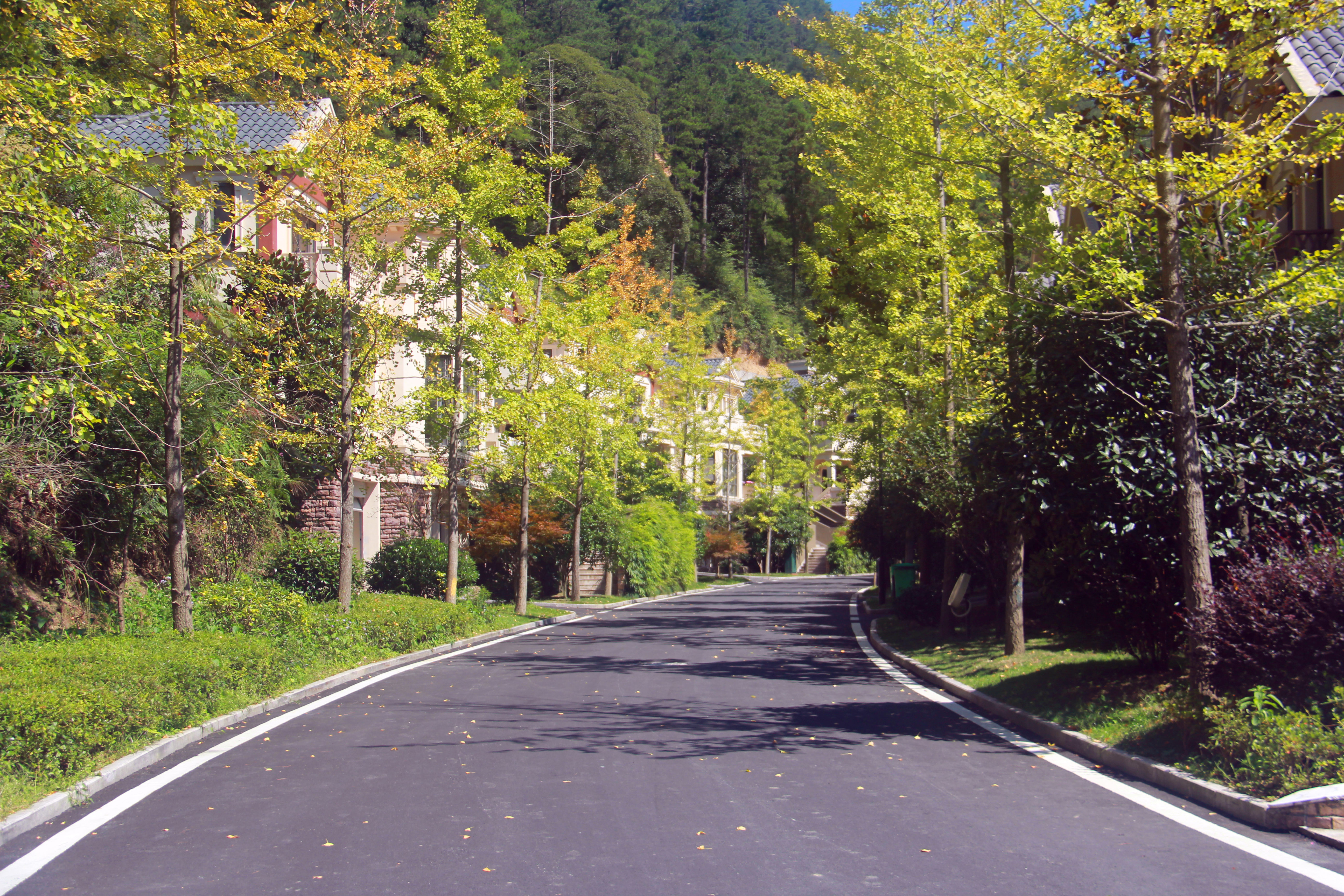天鵝堡景區(qū)林間小道.jpg