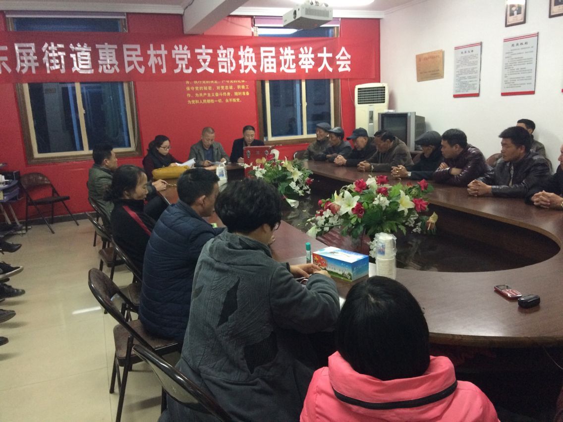 惠民村副書記參加惠民村黨支部換屆選舉大會.jpg