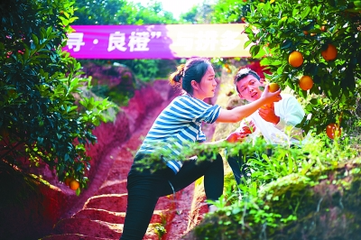 你的職業(yè)過時(shí)了嗎